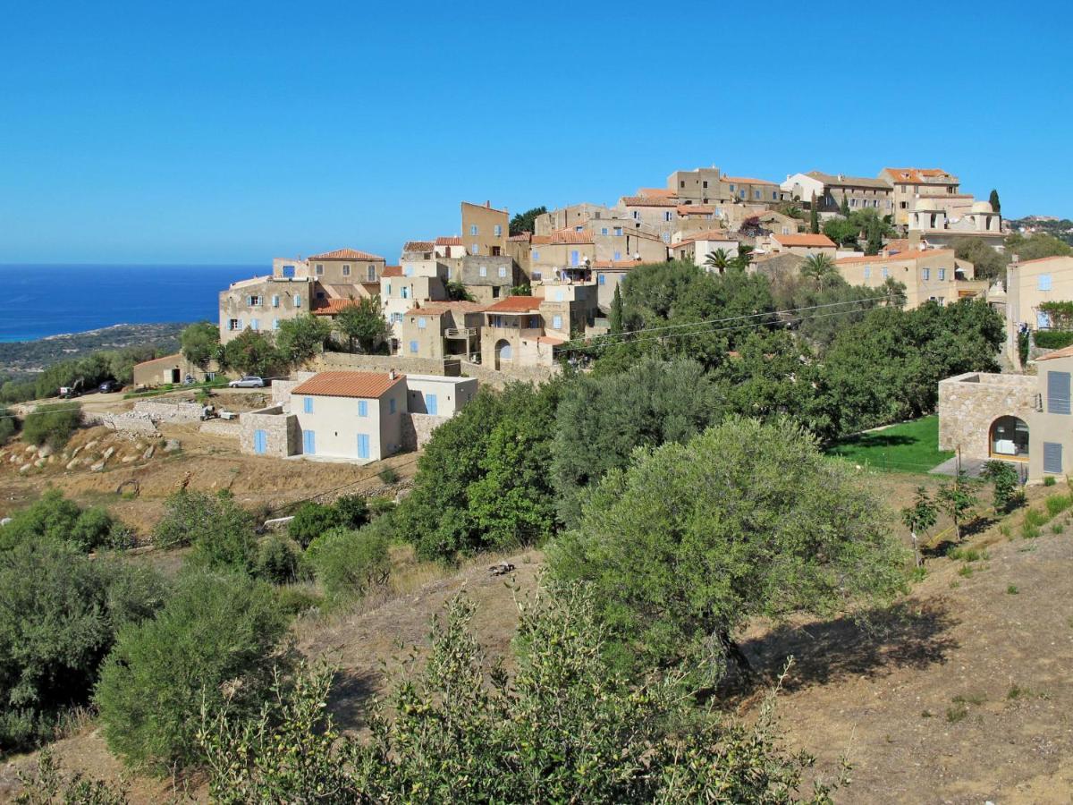 Apartment Thalassa - Cal200 By Interhome Corsica Island Екстер'єр фото
